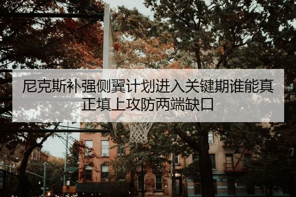 尼克斯补强侧翼计划进入关键期谁能真正填上攻防两端缺口